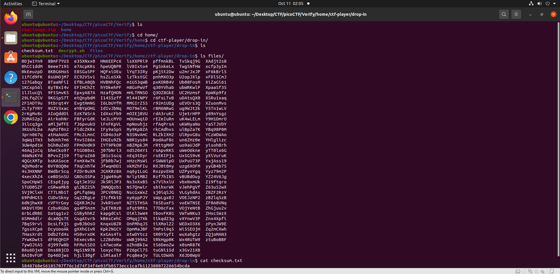 Challenge description