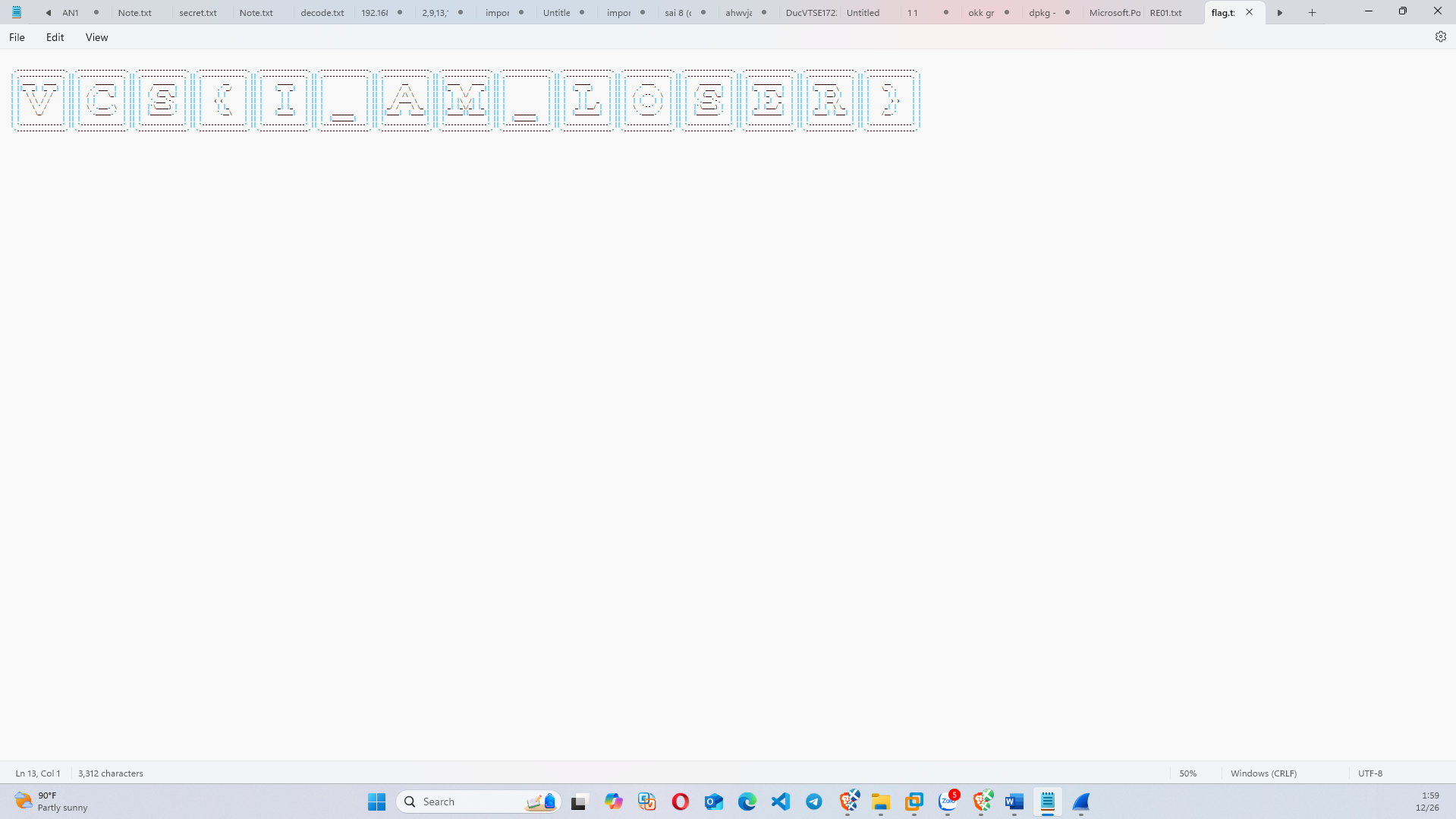 Text editor — Extracted ASCII art revealing the flag: VCS{I_AM_LOSER}
